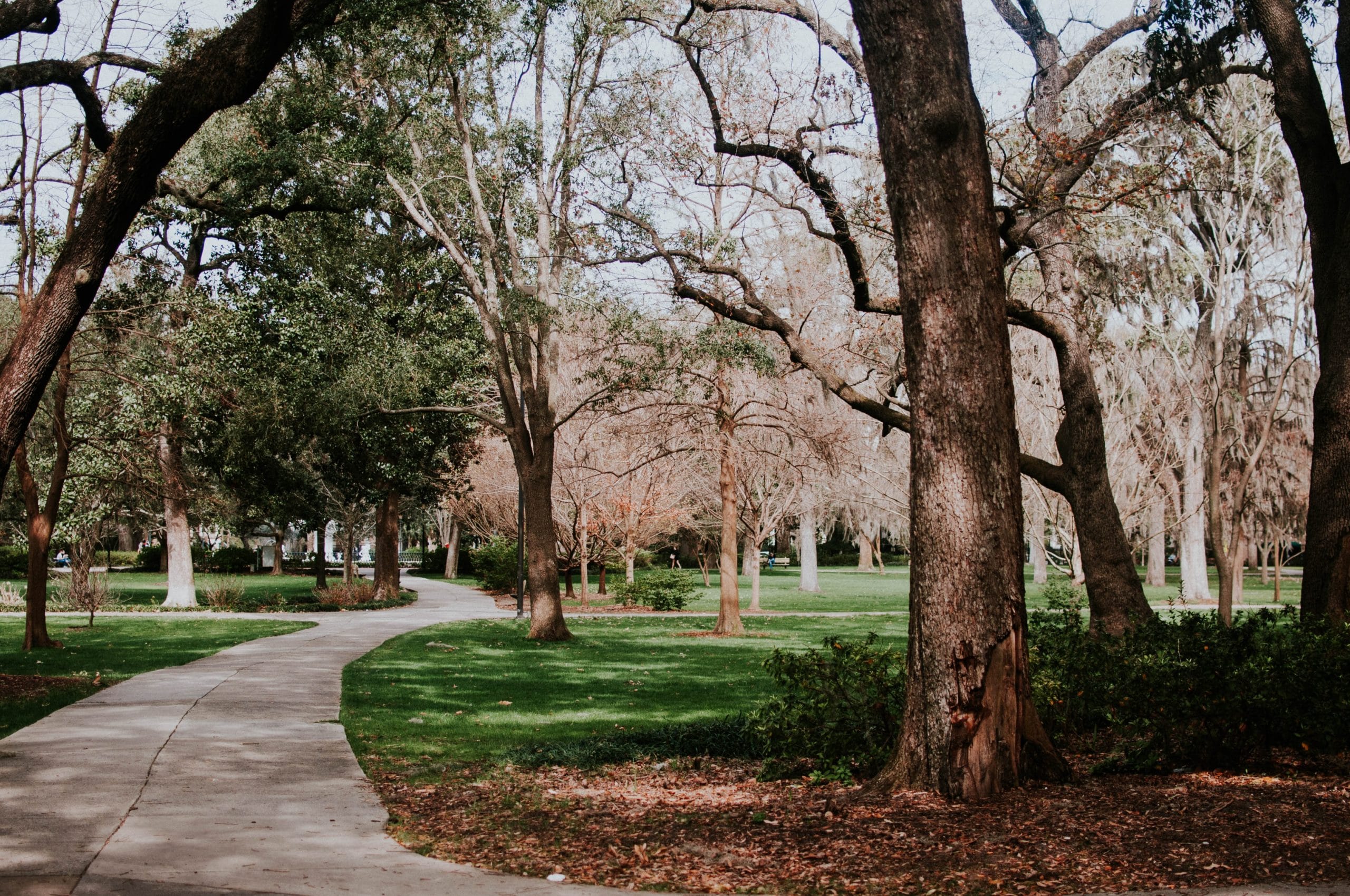 Your Guide To Grant Park AtlantaLux